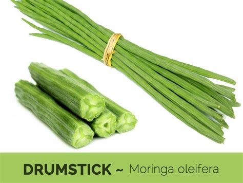 Fresh Drumstick G Fresh Moringa Stick Fresh Indian Veg Saragavo