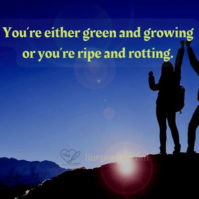 70+ Great Self Improvement Quotes To Bring Betterment