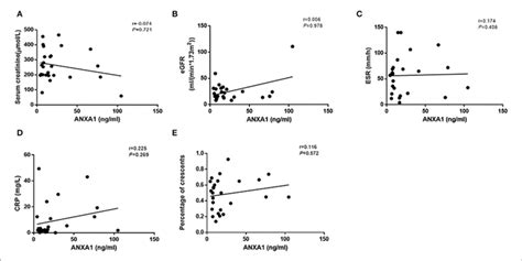 Correlation Analyses Of ANXA1 Levels In Plasma Of Active AAV Patients