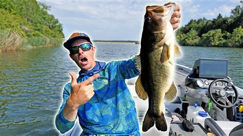 Topwater Blow Ups And Sneaky Sight Fishing Tips Youtube