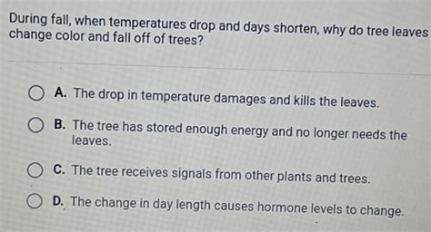 Solved During Fall When Temperatures Drop And Days Shorten Why Do