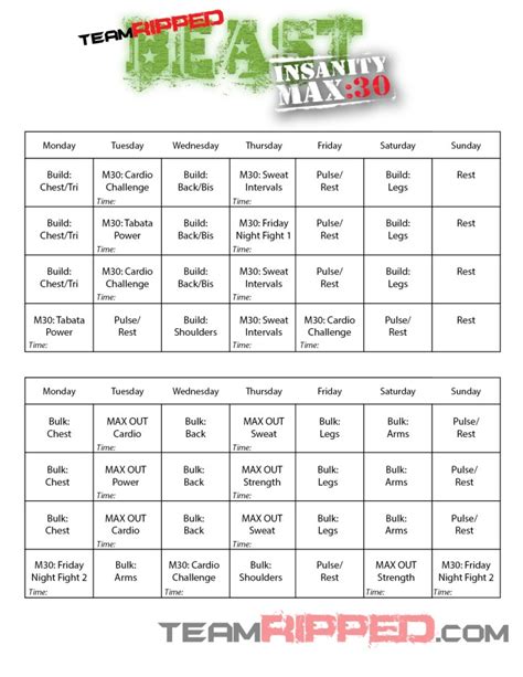 P90x3 Insanity Max 30 Hybrid Workout Schedule Eoua Blog