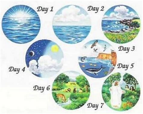 7 Days See The Visual Creation Story Bible Creation Story Days Of