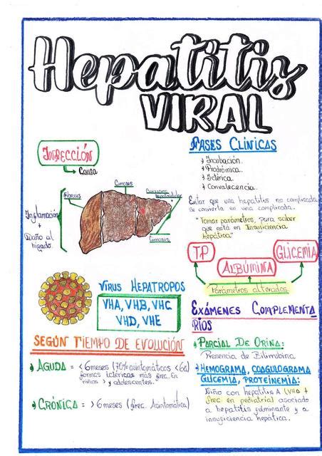 Hepatitis Viral Bekner Espinoza Carhuancho Udocz