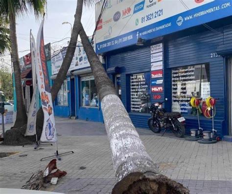 Provocan fuertes vientos daños en la zona metropolitana