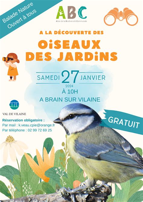 Balade Oiseaux La Chapelle De Brain