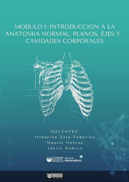 Introducción a la Anatomía Normal Planos Ejes y Cavidades Corporales