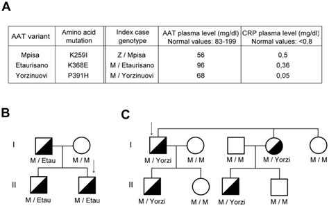 A Table Summarizing The Amino Acid Mutations Of The Variants The Download Scientific Diagram