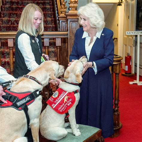 Le Prince Charles Camilla Parker Bowles Et Lui Ont T Vaccin S