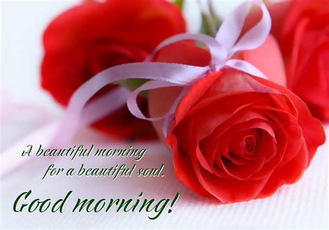 Good Morning My Love Rose Greetings Good Morning Beautiful With