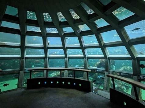 Best 3 Things to Do in Seattle Aquarium