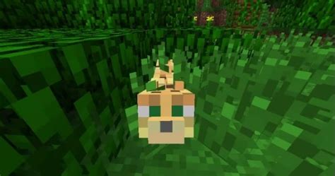 Minecraft C Mo Domesticar Un Leopardo Ocelote The Arcader