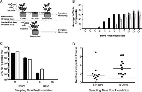 Nitrate Assimilation Contributes To Ralstonia Solanacearum Root Attachment Stem Colonization