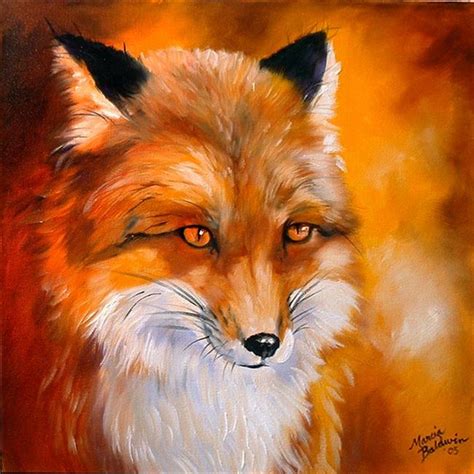 RED FOX FACE - by Marcia Baldwin from Wildlife