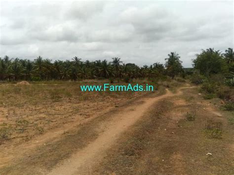 Acres Coconut Farm Land For Sale At Talkere Village Near Mayasandra