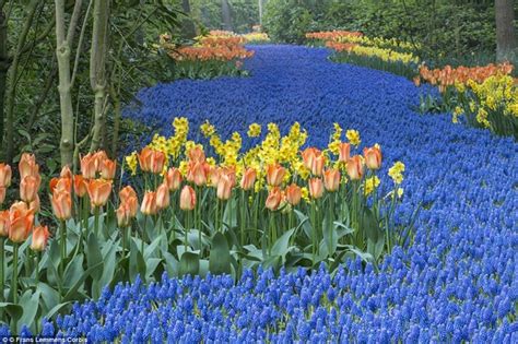 Bộ sưu tập những hình ảnh thiên nhiên về mùa xuân lãng mạn và thơ mộng Thư viện Ảnh đẹp hot