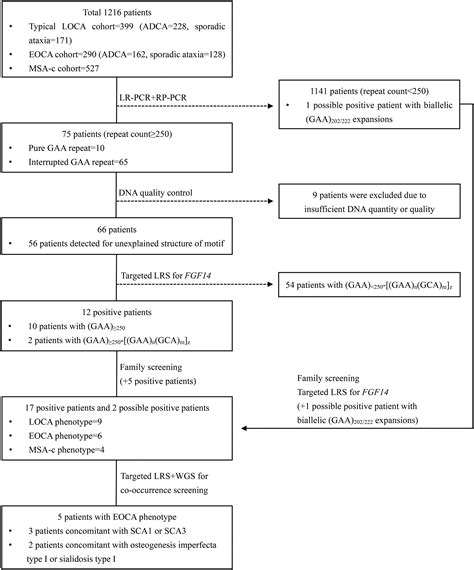 The Genetic Landscape And Phenotypic Spectrum Of Gaa Fgf Ataxia In