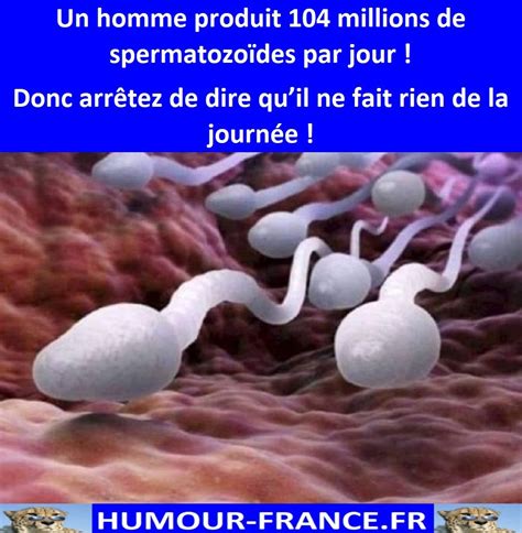 Humour France Fr On Twitter En 2022 Spermatozoide Humour Homme