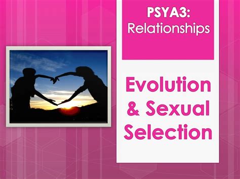 Ppt Evolution And Sexual Selection Exploring Attractiveness And Mate Preference Powerpoint