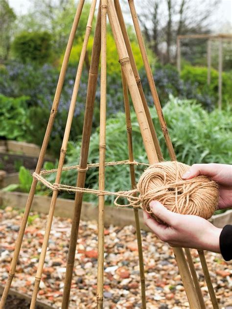 Gardens Vegetable Garden Design Growing Runner Beans Diy Garden Trellis