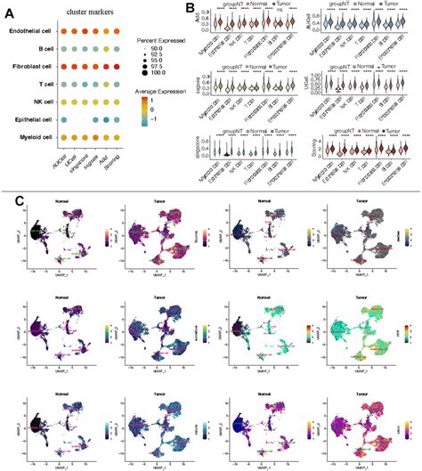 Identification Of Molecular Characteristics Of Fut And Alteration Of