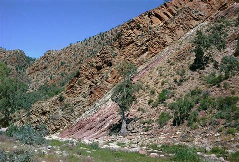 Stratified Quartzite Photograph By Dr Jeremy Burgess Science Photo