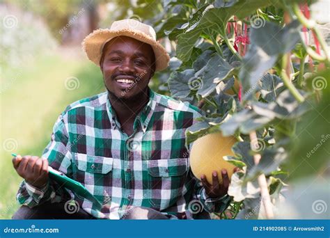 Happy African Farmer Sitting In The Organic Farm Agriculture Or