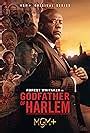 Godfather Of Harlem Tv Series Episode List Imdb