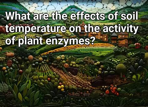 What Are The Effects Of Soil Temperature On The Activity Of Plant