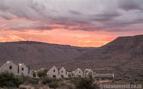 Karoo National Park The Ultimate Guide Roxanne Reid Africa Addict