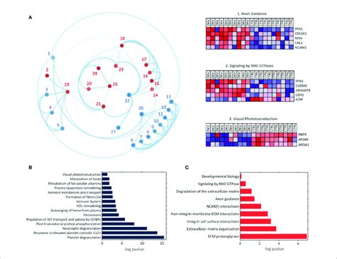 The Gene Enrichment Analysis GSEA A Results Obtained With The