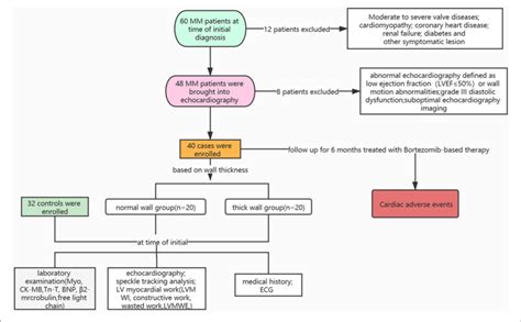 Overview Of Patient Selection Process Myo Myoglobin Ck Mb