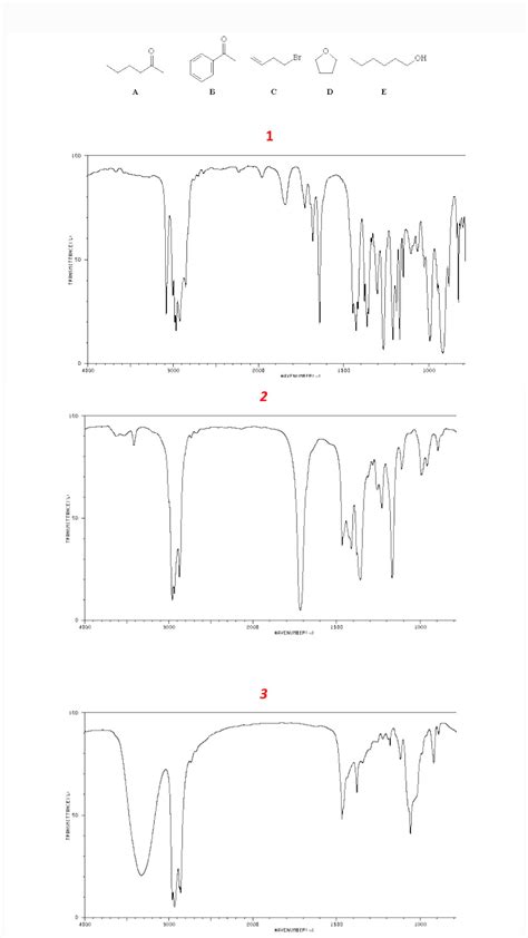 Solved Indicate And Interpret The Important Peaks In The Chegg