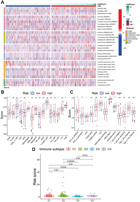 Identification And Validation Of Oxeiptosis Associated Lncrnas And