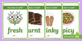 KS1 The Five Senses Touch A4 Display Poster Twinkl