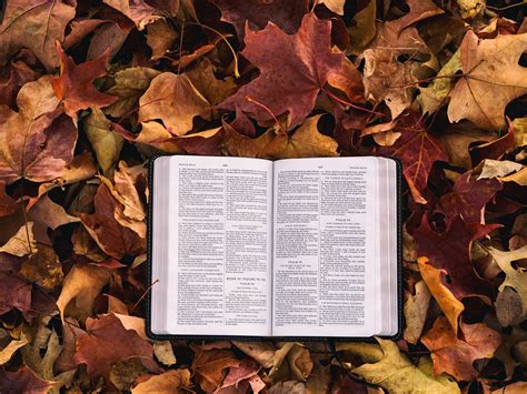 Bible Leaves The Cause Of Christ