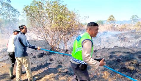 Nusabali Lagi Hutan Di Gunung Batur Terbakar