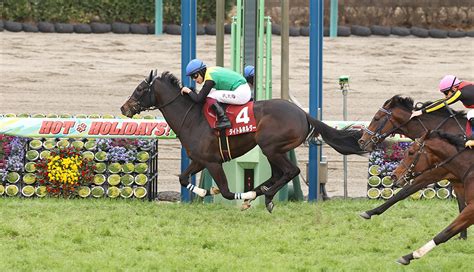 【競馬ニュース】【弥生賞】2歳王者ドウデュースが登場、データから見る狙い目は？ ミノケンジの自由気まま空間