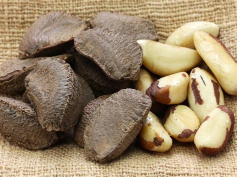 Dr Rhonda Patrick Guides The Way To Health With Brazil Nuts