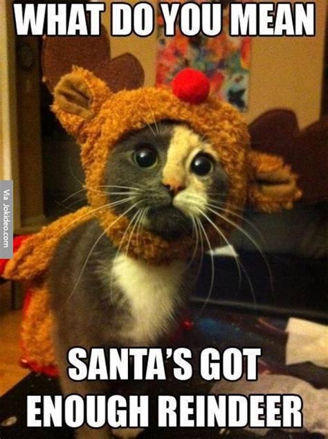 55 Jolly Christmas Memes To Celebrate The Holiday | Inspirationfeed
