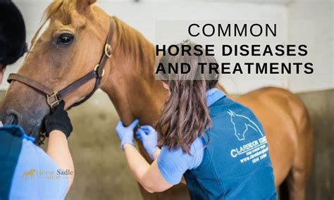 Common Horse Diseases and Treatments | Horse Saddle Shop