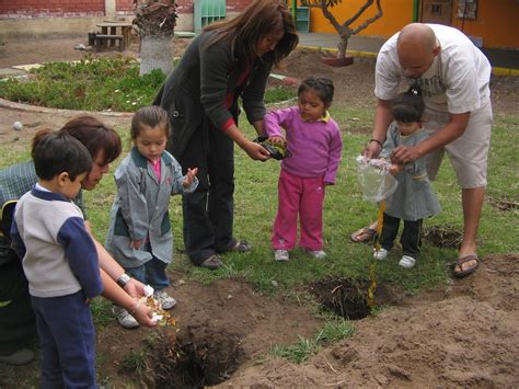 As Surgen Programa De Arborizaci N De Conaf Ha Entregado Mil