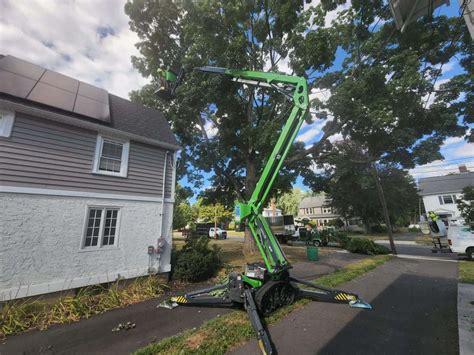 How to Prune a Japanese Maple? - Trout Brook Arborists