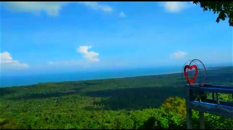 Spot Burung TEKUKUR Melimpah YouTube