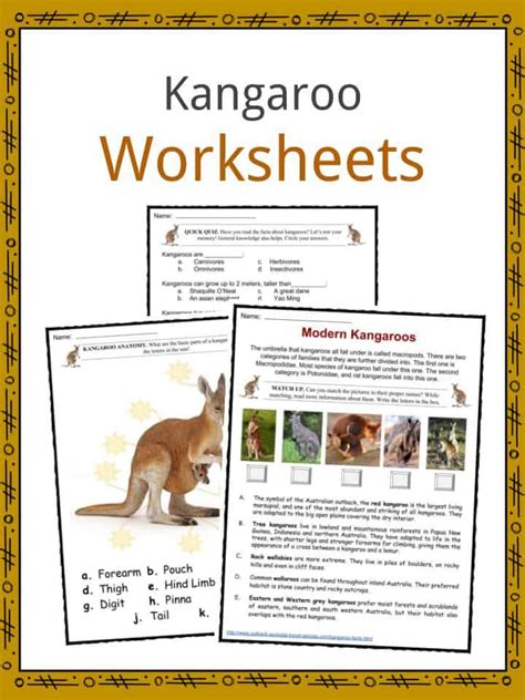 Kangaroo Math Worksheets Math Kangaroo