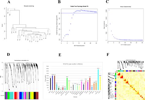 Wgcna Of Aeg Rna Seq Data A Sample Clustering To Detect Outliers All