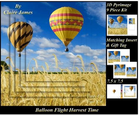 Hot Air Balloons Balloon Flight Harvest Time Pyrimage Pyramid Insert Tag CUP