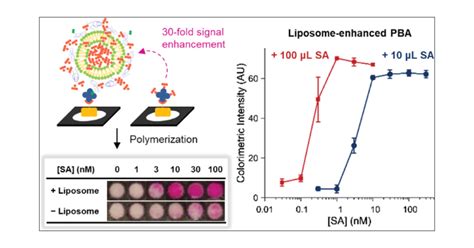 Liposome Enhanced Polymerization Based Signal Amplification For Highly