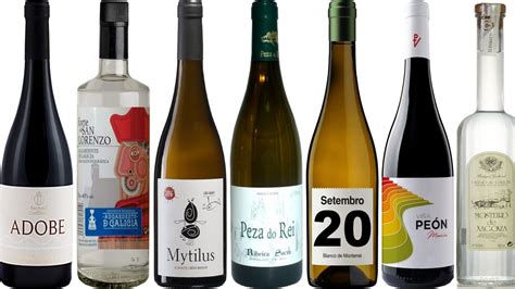 Descubre las distinciones entre albariño y ribeiro