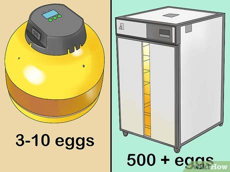 Egg Incubator Design And Assembly